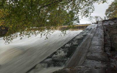 Breaking down barriers and expanding conservation