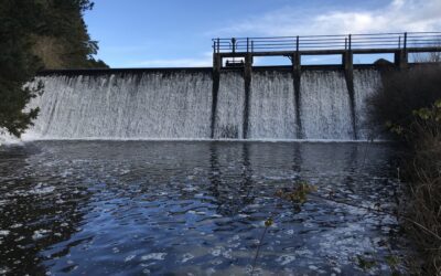 The biggest dam removal in Scotland at Garlogie in Aberdeenshire