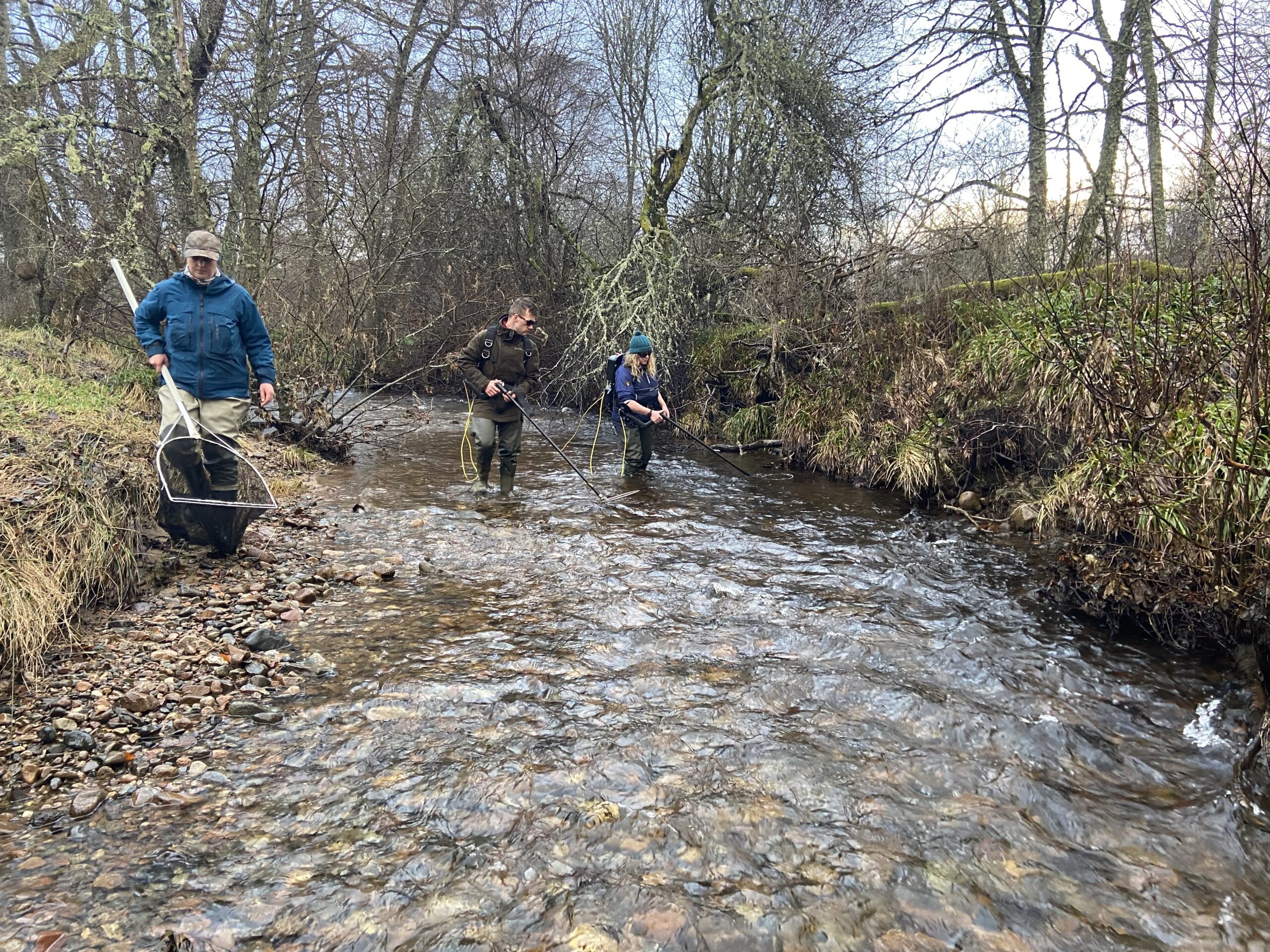 An exciting new job to deliver Save The Spring | River Dee