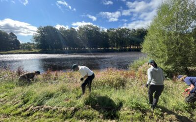 BP volunteers make an impact on the riverbank