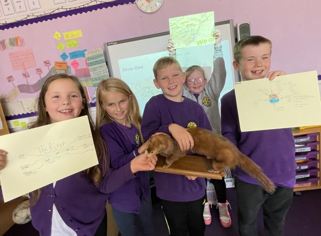 Primary School Pupils in the Classroom