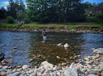 River Dee Fishing Report – Week 27 – Mon 27 July 2026