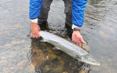 River Dee Fishing Report – Week 29 – Mon 10 August 2026