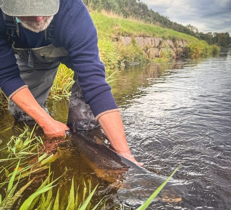 River Dee Fishing Report – Week 35– Mon 21 September 2026